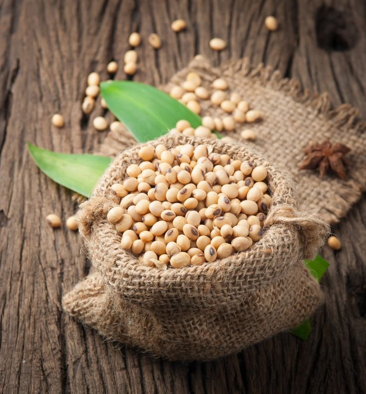 10 céréales sans gluten