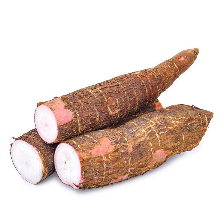 Manioc
